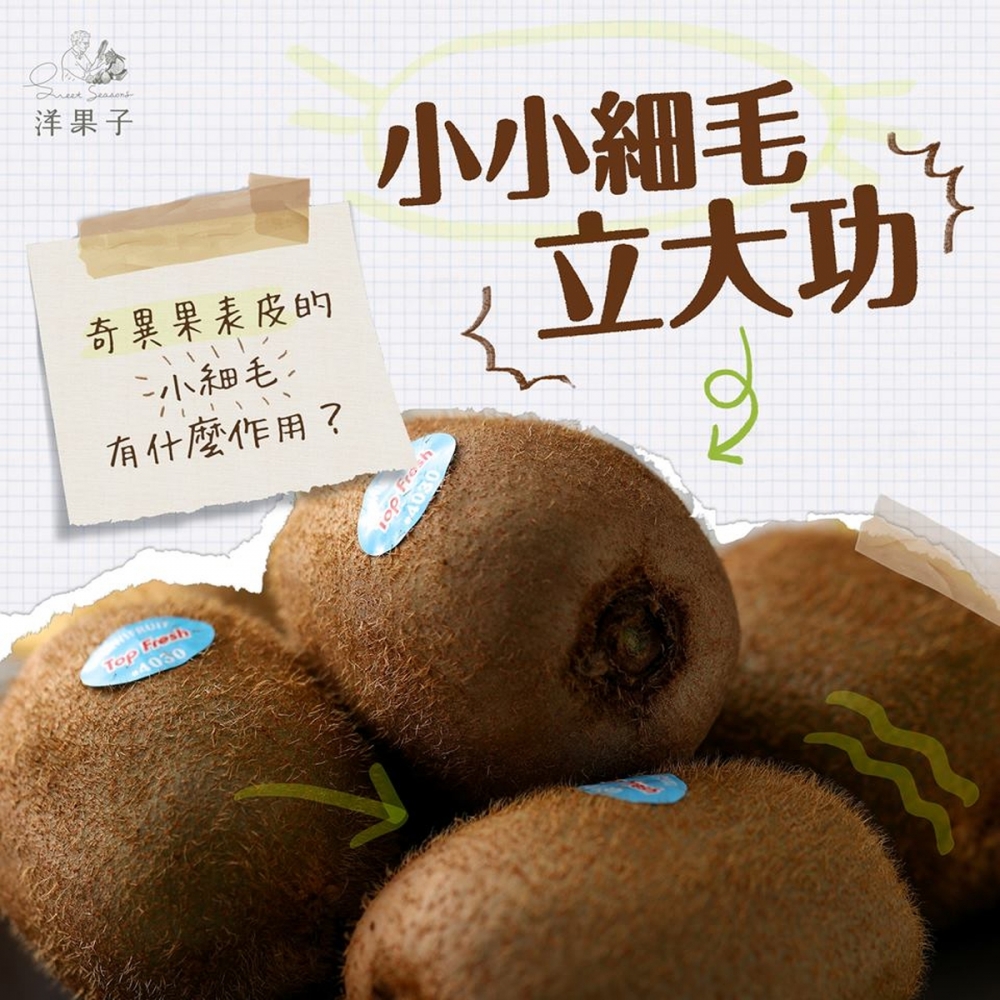 水果小知識-奇異果的小小細毛立大功 Logo圖片
